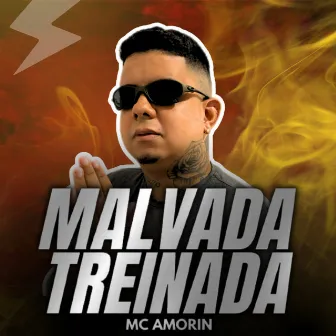 Malvada Treinada by Mc Amorin