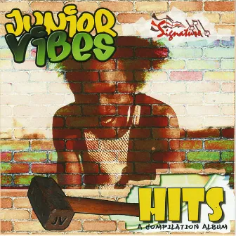 Hits: A Compilation Album by Junior Vibes