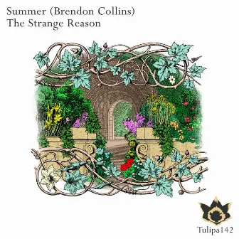 The Strange Reason by Summer (Brendon Collins)