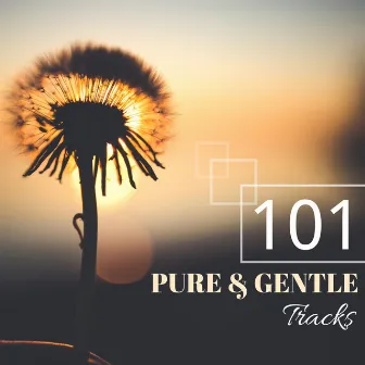 101 Pure & Gentle Tracks - Spiritual Music for Serenity & Equilibrium with Nature Sounds by Spiritual Preachers