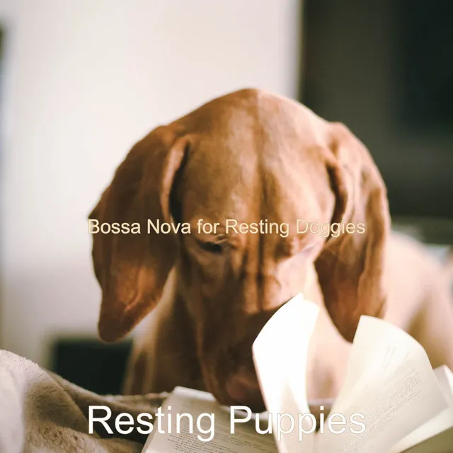 Soundscapes for Resting Doggies