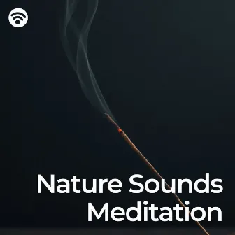 Nature Sounds Meditation: the Relaxing Journey by Meditation Nature Sounds