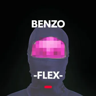 Flex by Benzo