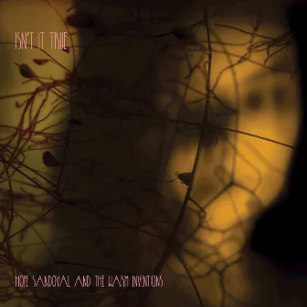 Isn't It True by Hope Sandoval & The Warm Inventions