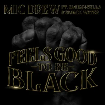 Feels Good to Be Black by Mic Drew