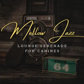 Canine Serenades: Coffee Lounge Jazz for Four-Legged Friends by Home Alone Dog Music