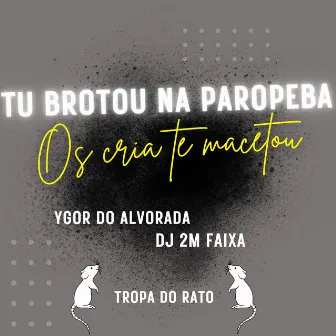 Tu Brotou na Paropeba os Cria Te Macetou (Tropa do Rato) by ygor do alvorada