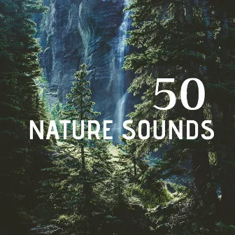 50 Nature Sounds by Amelia System