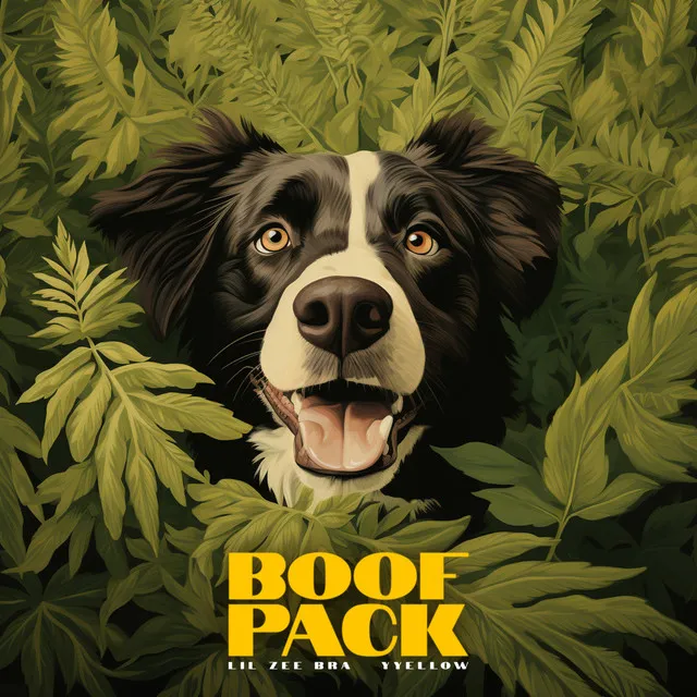 Boof Pack