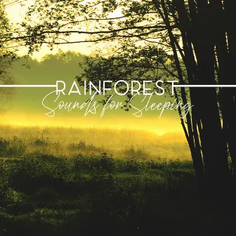 Rainforest Sounds for Sleeping: Animals Noises, Nature Relaxing Music, Sleep Ambience by Deep Forestland