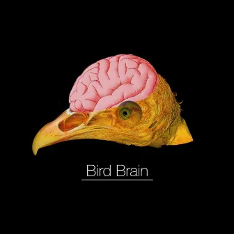 Bird Brain by Chase Jameson