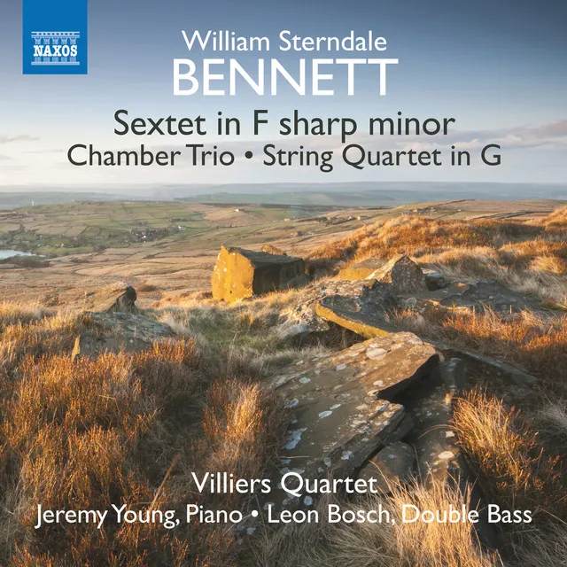 Chamber Trio in A Major, Op. 26: I. Andante tranquillo ma con moto