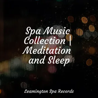 Spa Music Collection | Meditation and Sleep by PowerThoughts Meditation Club