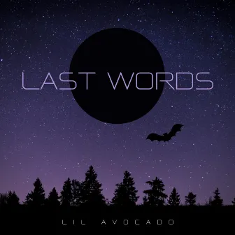 Last Words by Lil Avocado