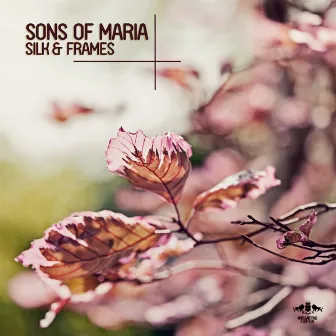 Silk & Frames by Sons Of Maria