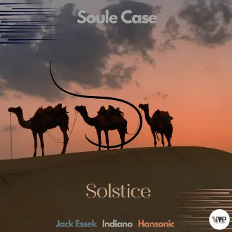 Solstice by Soule Case