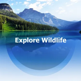 Explore Wildlife by 