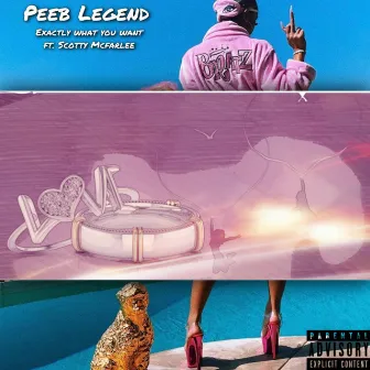 Exactly What You Want by Peeb Legend