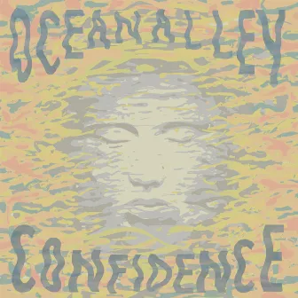 Confidence by Ocean Alley