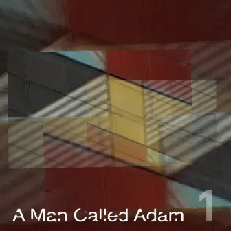 Collected Works, Volume One by A Man Called Adam