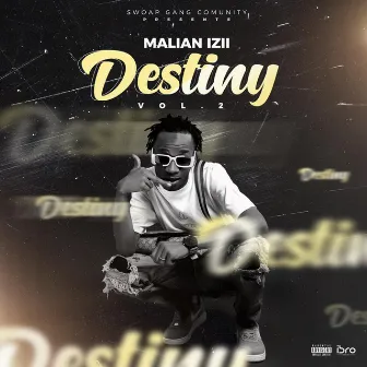 Destiny Vol.2 by Malian Izii