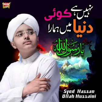 Nahi Hai Koi Duniya Mein Hamara Ya Rasool Allah by Syed Hassan Ullah Hussaini