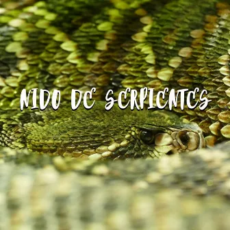 Nido de Serpientes by Ty Ruzz