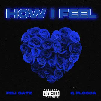 How I Feel by Feli Gatz