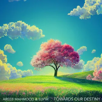 Towards Our Destiny by Areeb Mahmood