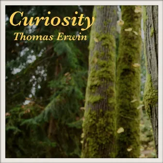 Curiosity by Thomas Erwin