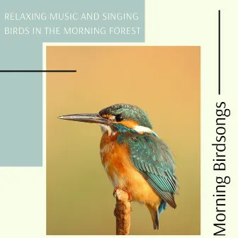 Morning Birdsongs - Relaxing Music and Singing Birds in the Morning Forest by Inside Trace