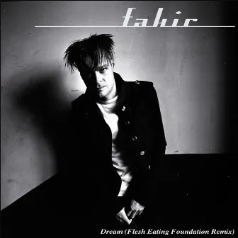 Dream (Flesh Eating Foundation Remix) by Fakir