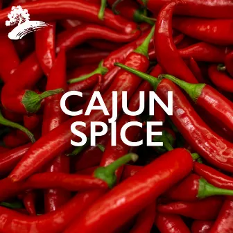 Cajun Spice by Jo-El Sonnier