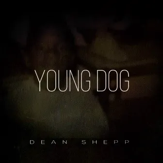 Young Dog by Dean Shepp