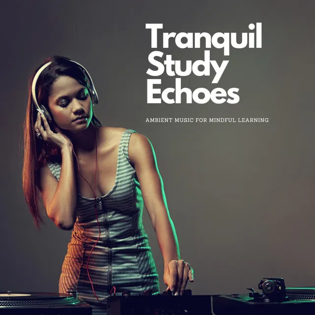 Tranquil Study Echoes: Ambient Music for Mindful Learning