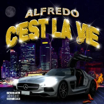 C'est la vie by Alfredo