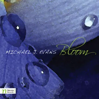 Evans, M.J.: Flute Trio / Piano Sonatas / Variations / Flying Away / Sunshower / Merci Sophie by Michael J. Evans