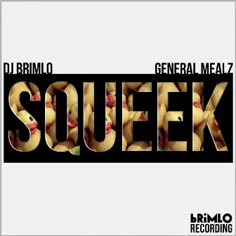 Squeek by DJ brimLo