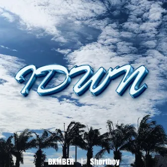 IDWN (I don't wanna) by BXMBER