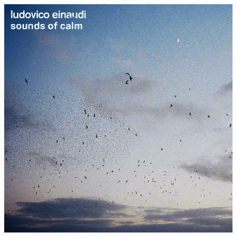 Sounds of Calm by Ludovico Einaudi