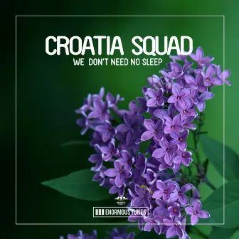 We Don't Need No Sleep by Croatia Squad