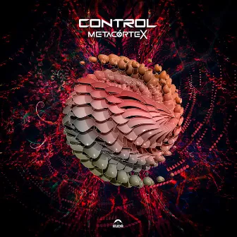 Control by MetaCórtex