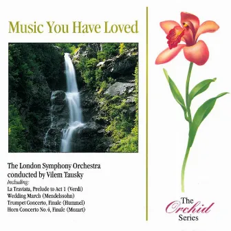 Music You Have Loved by Vilem Tausky