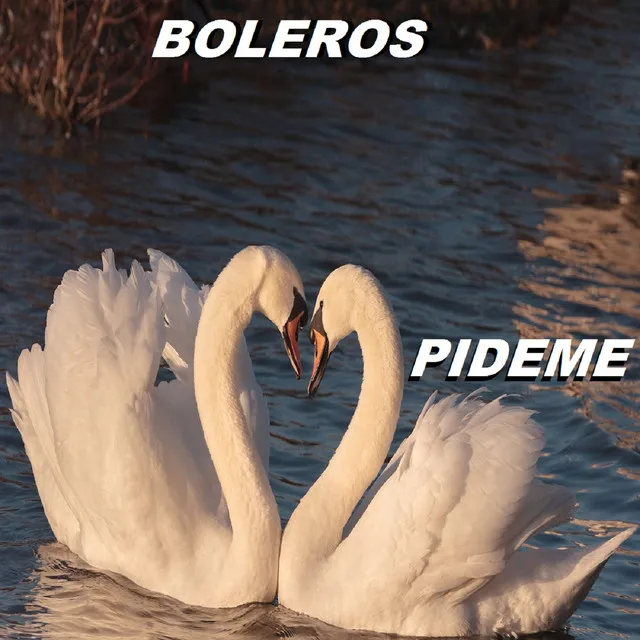 Pideme