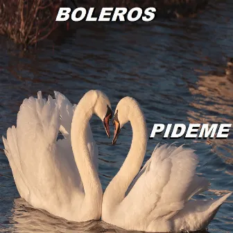 Pideme by Boleros