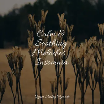 Calm & Soothing Melodies | Insomnia by Bedtime Baby