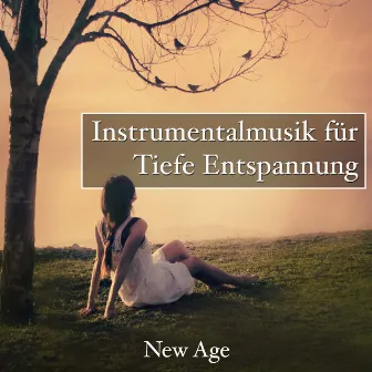 Instrumentalmusik für tiefe Entspannung by Unknown Artist