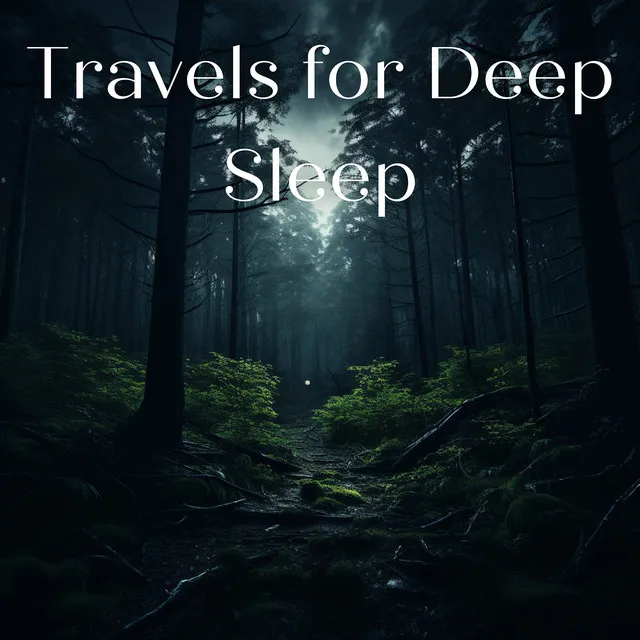 Travels for Deep Sleep, Calm Dreams