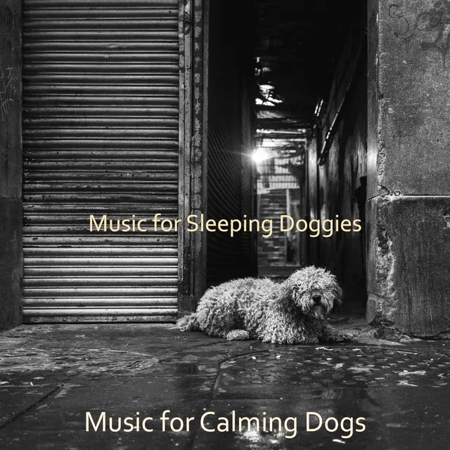 Music for Calming Dogs