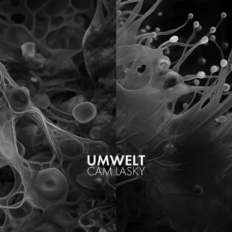 UMWELT Vol.2 by Cam Lasky